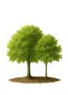 Afforestation